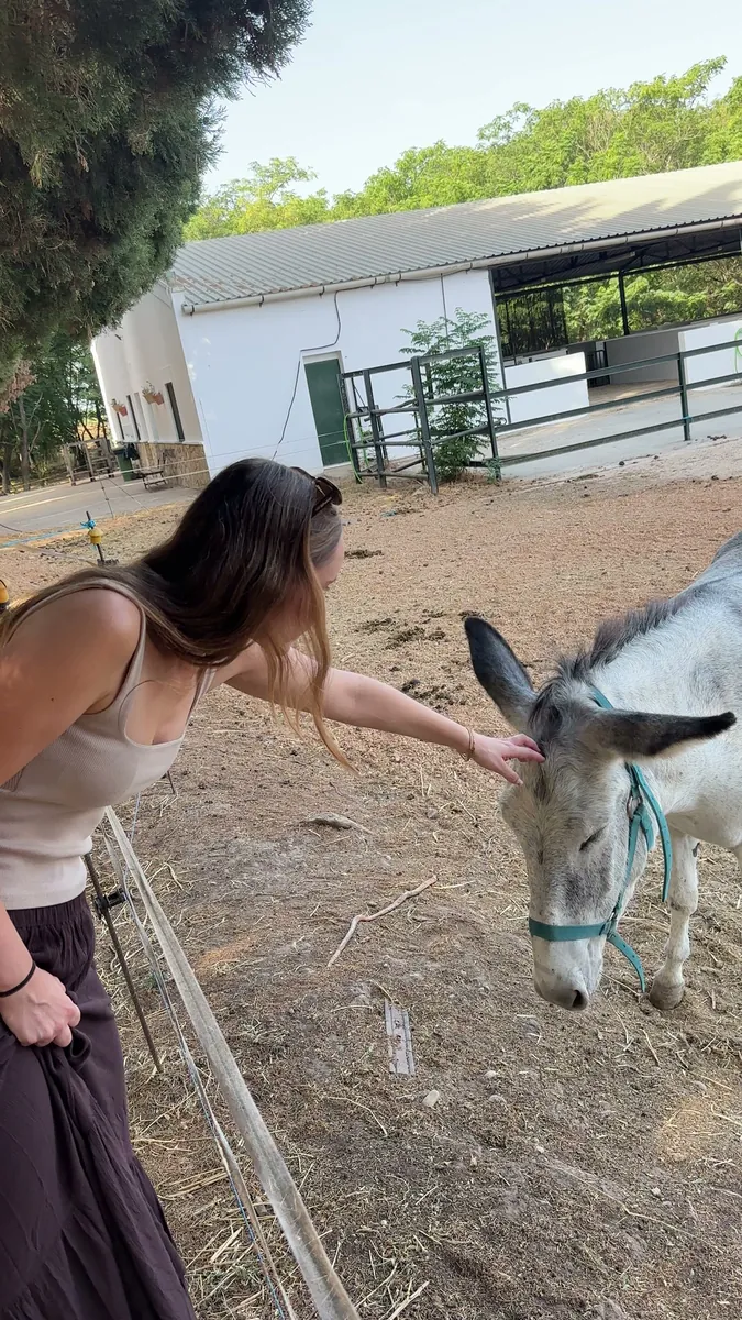 Vida en la granja: aprender con los animales