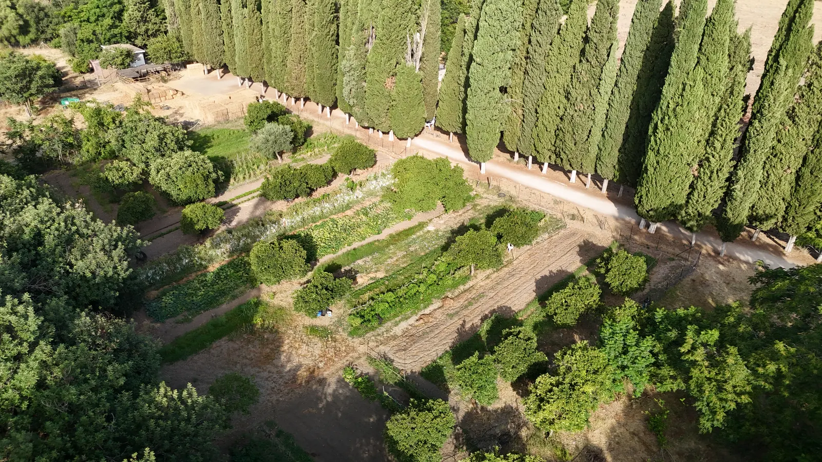 El huerto desde el aire
